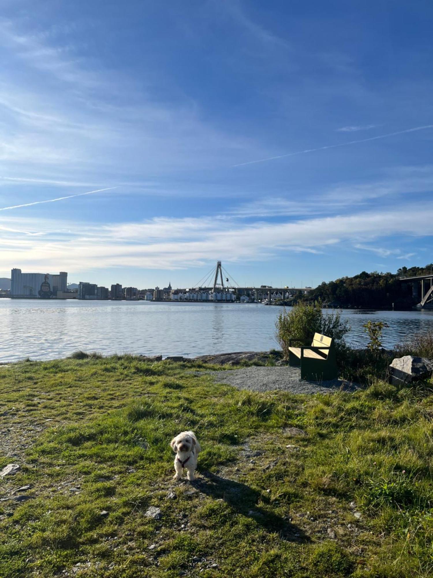 Lovely In Maritime Surroundings Near Appartement Stavanger